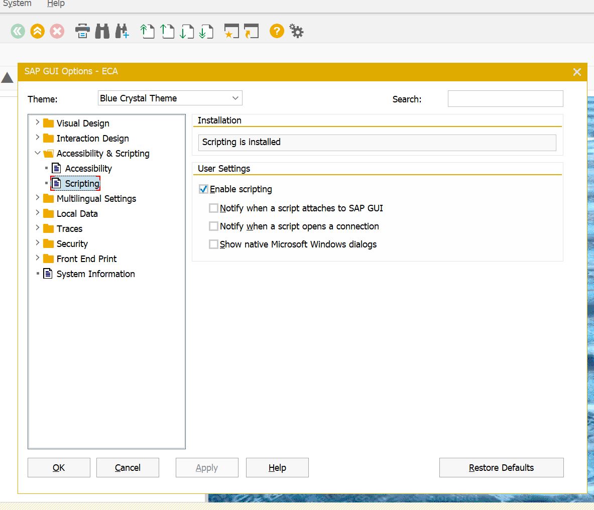 Enable scripting in SAP GUI Options